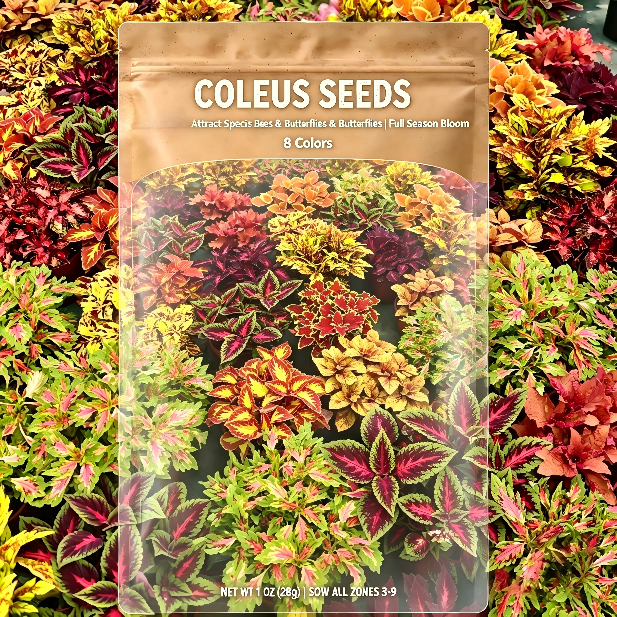 Coleus Seeds color mixing