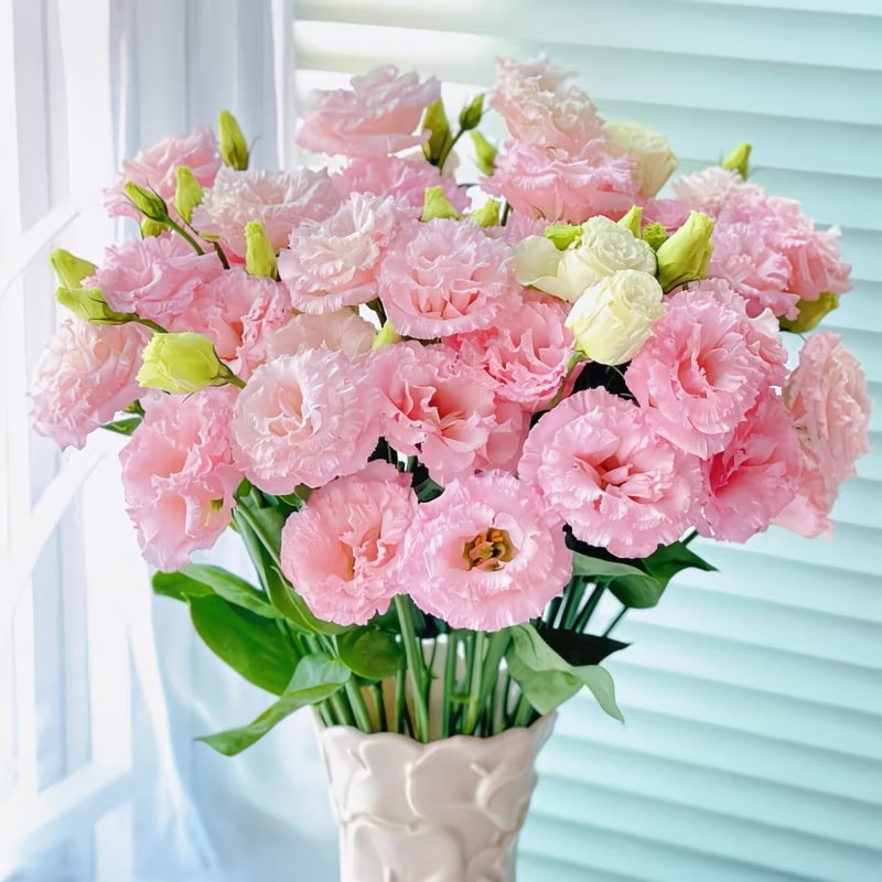 Lisianthus-color powder