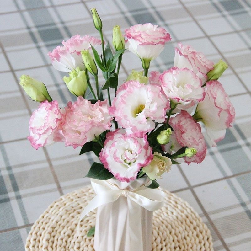Lisianthus-color Red border