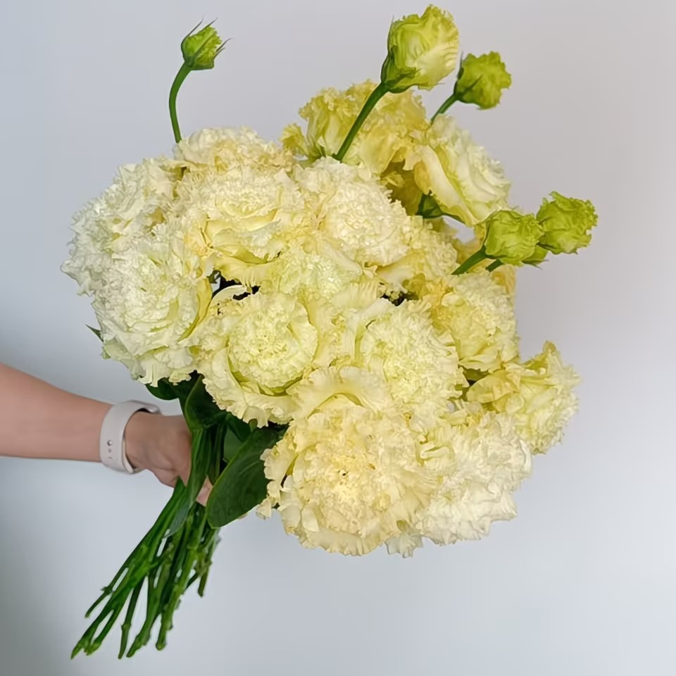 Lisianthus-color Yellow