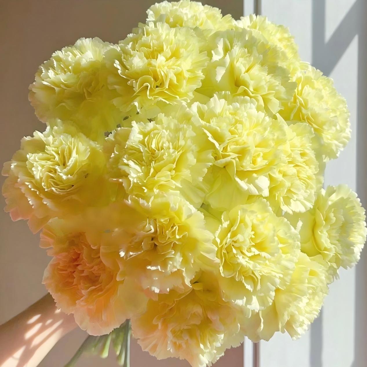Lisianthus-color Yellow