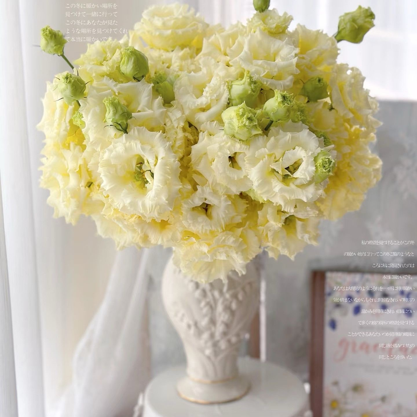 Lisianthus-color Yellow