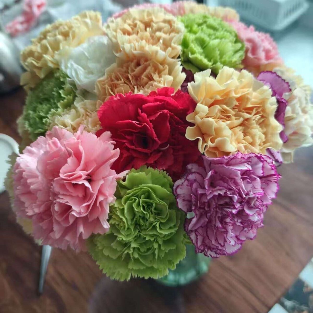 Carnation Seeds color mixing