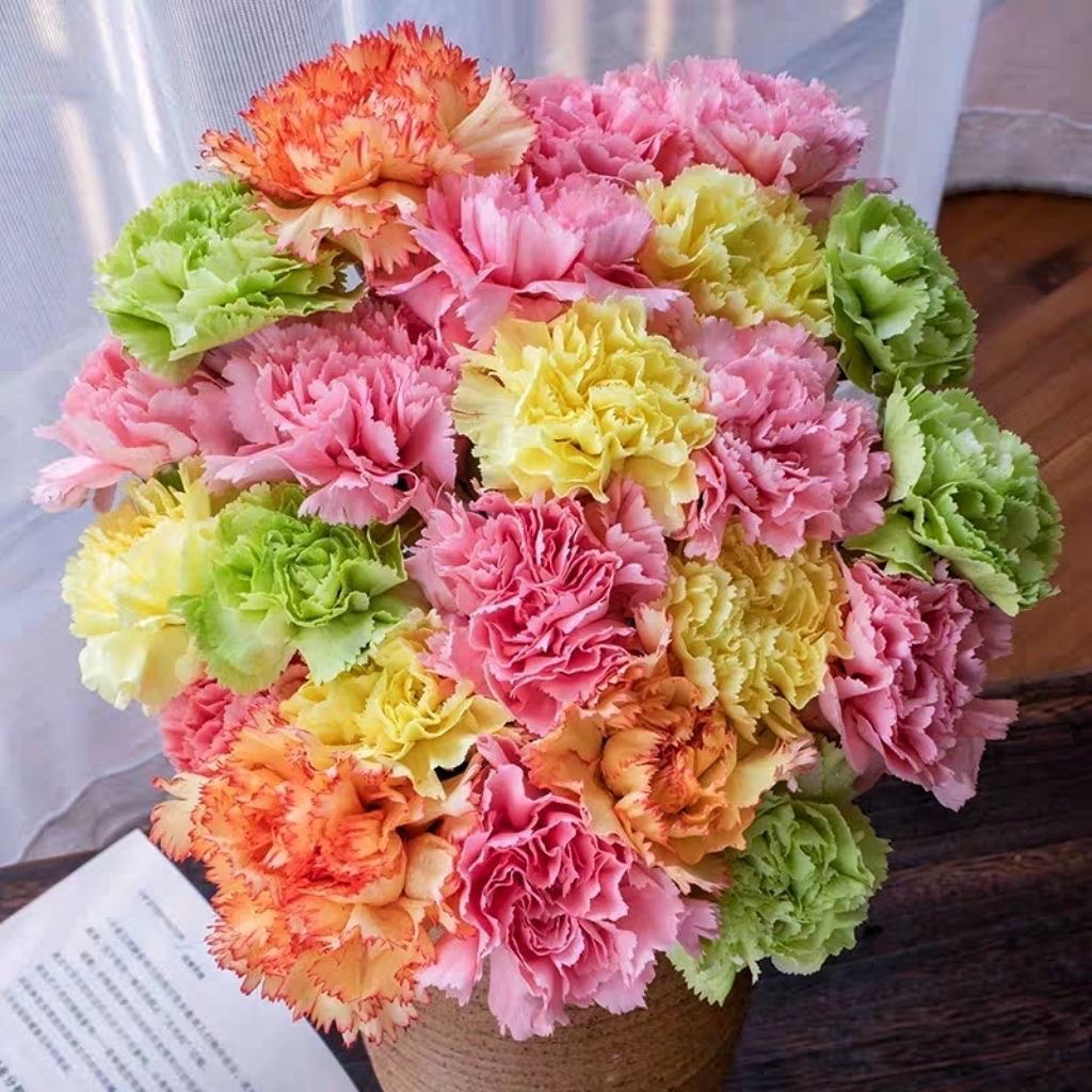 Carnation Seeds color mixing