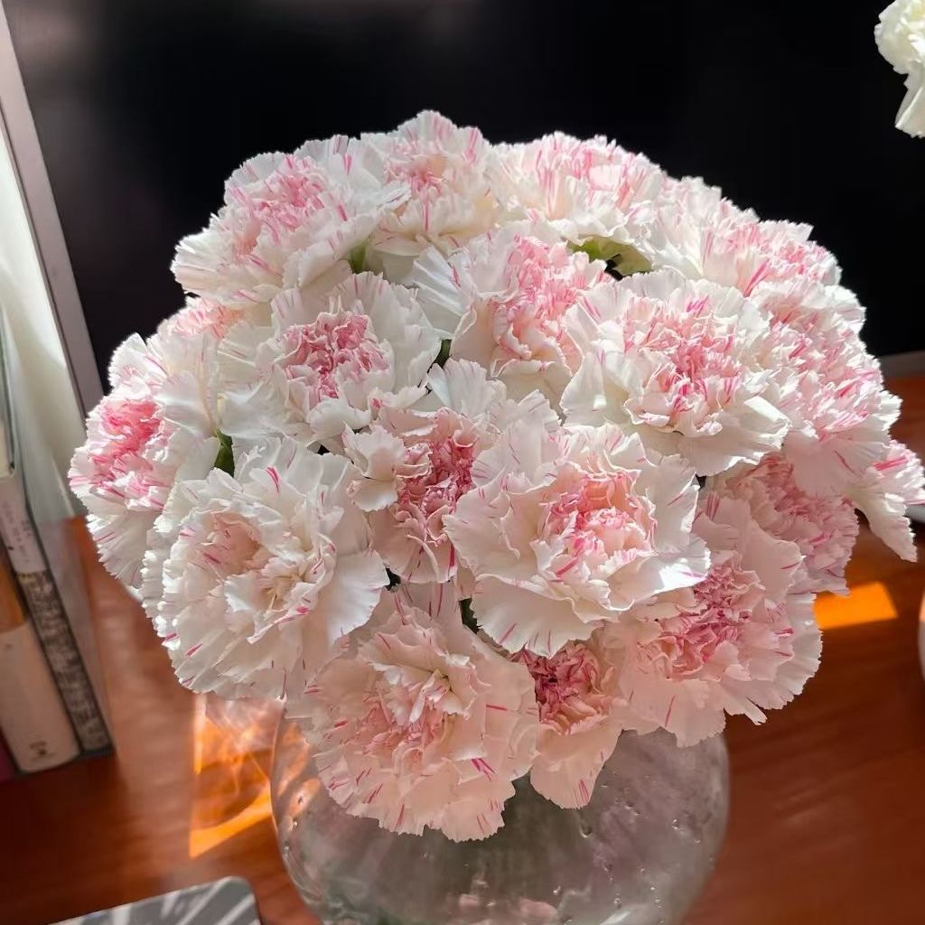 Carnation Seeds color Pink Center