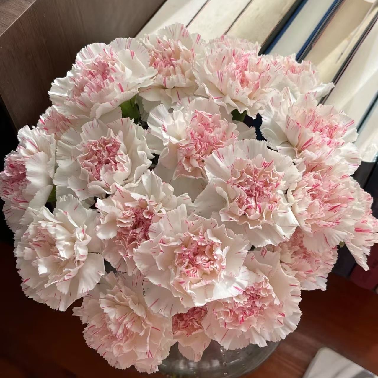 Carnation Seeds color Pink Center