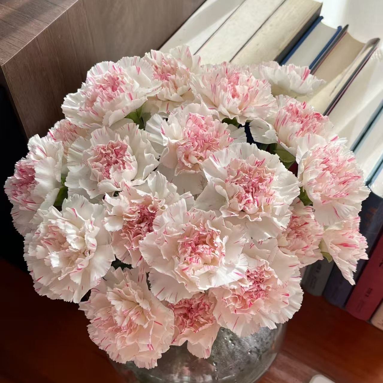Carnation Seeds color Pink Center