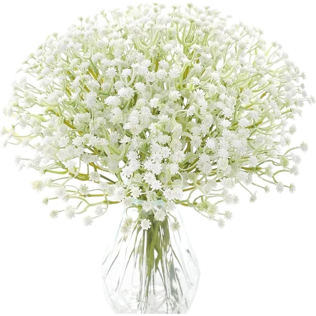 Babys Breath（Gypsophila） Seeds Color White