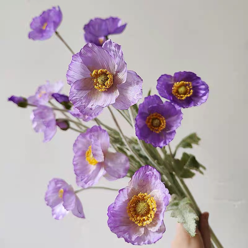 Poppy Seeds Color Purple2
