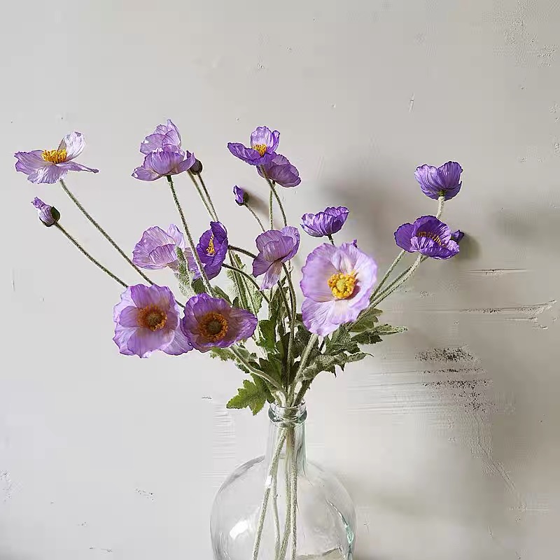 Poppy Seeds Color Purple2
