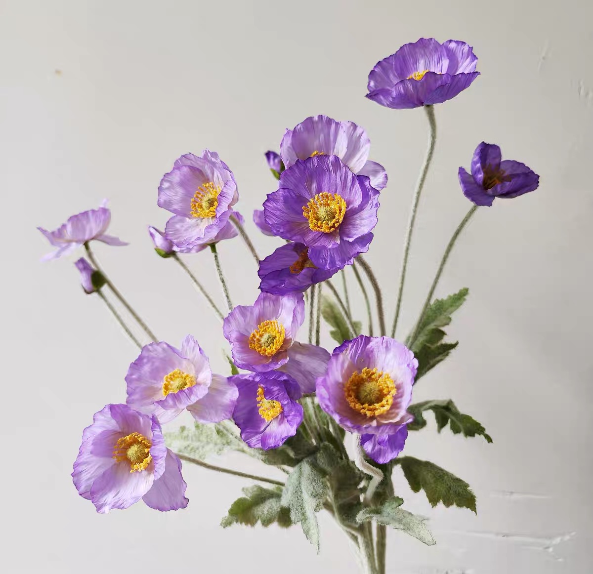Poppy Seeds Color Purple2