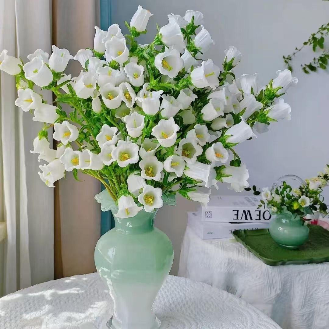 Campanula Seeds Color White