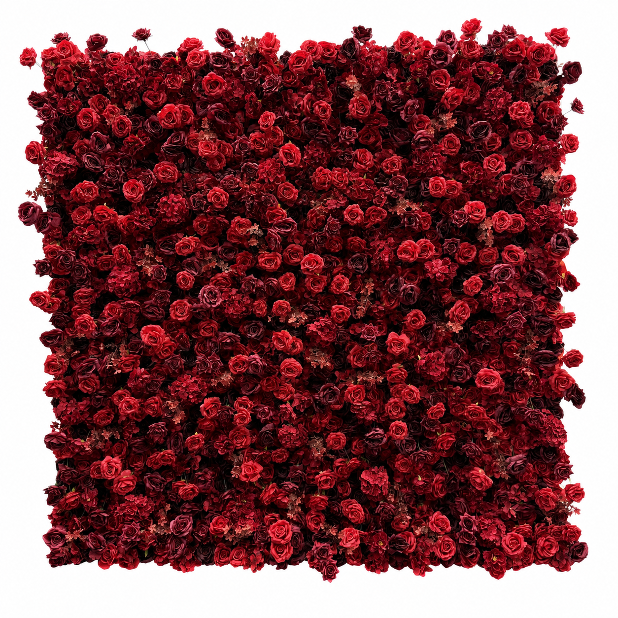 Artificial Flower Wall Backdrop, 94.5 x 94.5 in, Metal Frame Burgundy Red Rose