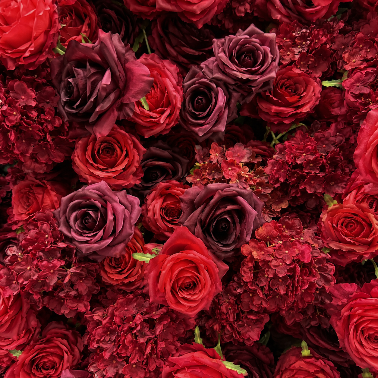 Artificial Flower Wall Backdrop, 94.5 x 94.5 in, Metal Frame Burgundy Red Rose