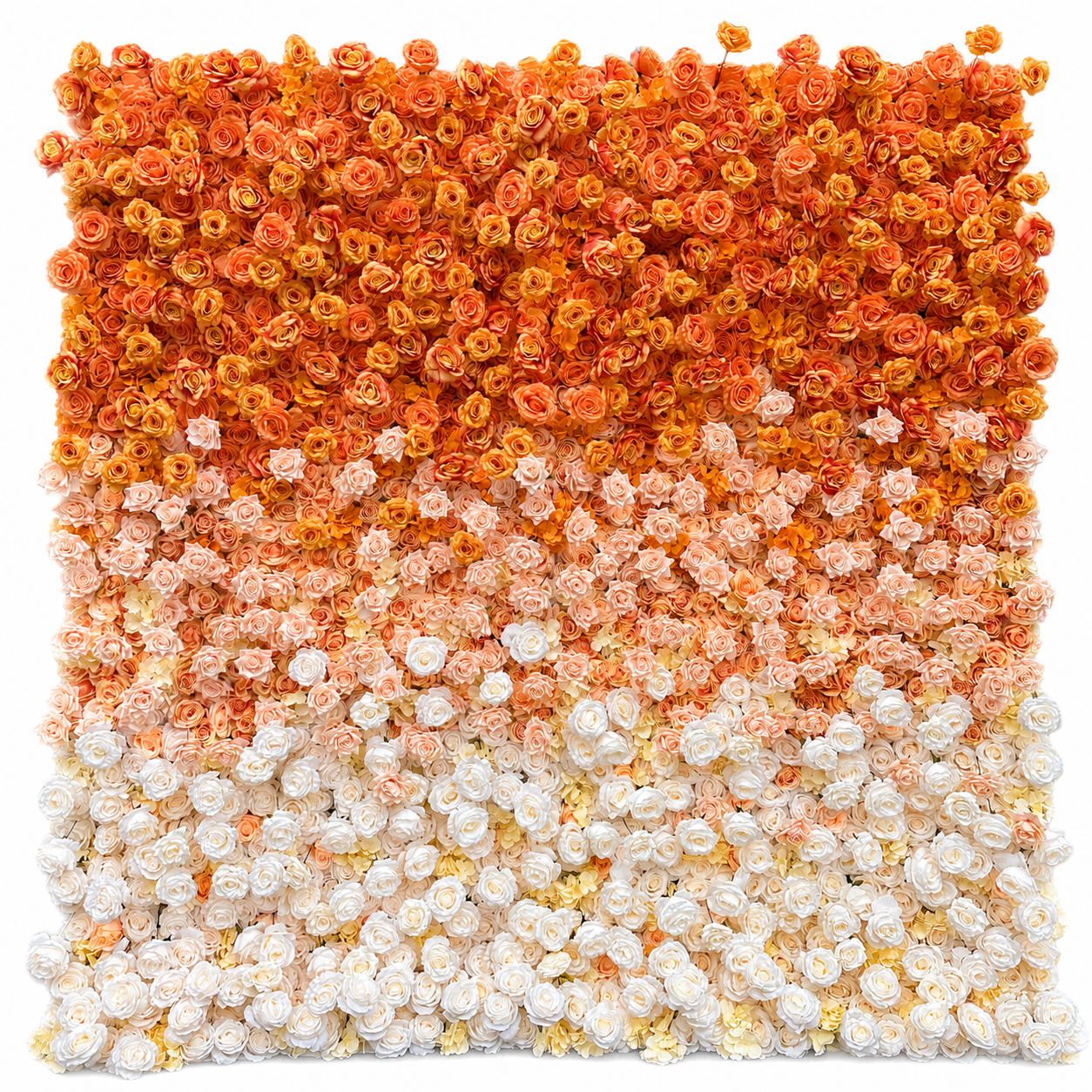 Sunset Orange Ombre	Sunset Orange Artificial Flower Wall Backdrop, 94.5 x 94.5 in, Frame