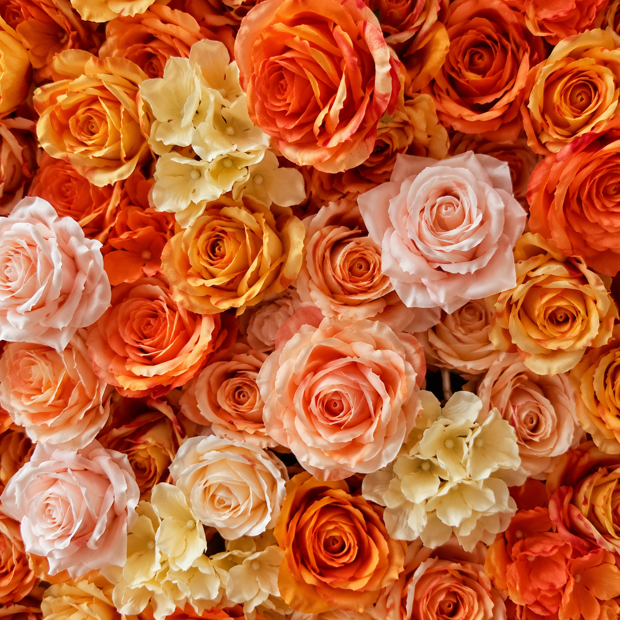 Sunset Orange Ombre	Sunset Orange Artificial Flower Wall Backdrop, 94.5 x 94.5 in, Frame
