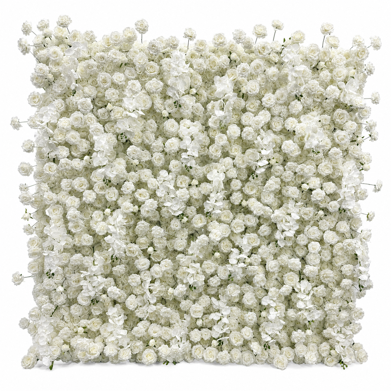 Pure White Orchid Rose	Pure White Artificial Flower Wall Backdrop, 94.5 x 94.5 in, Frame