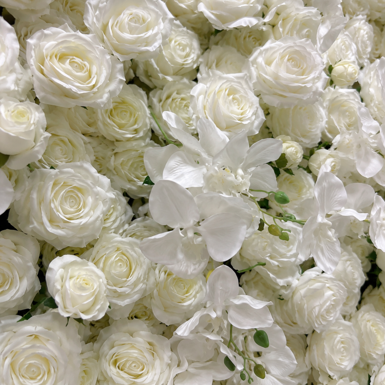 Pure White Orchid Rose	Pure White Artificial Flower Wall Backdrop, 94.5 x 94.5 in, Frame