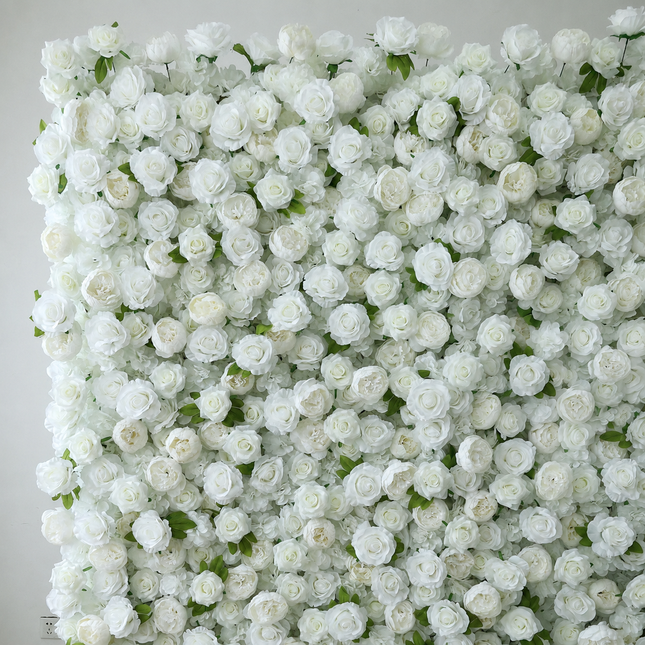 Generic White Rose Flower Wall Backdrop for Weddings, 4 x 8 ft,8x8ft,10x10ft