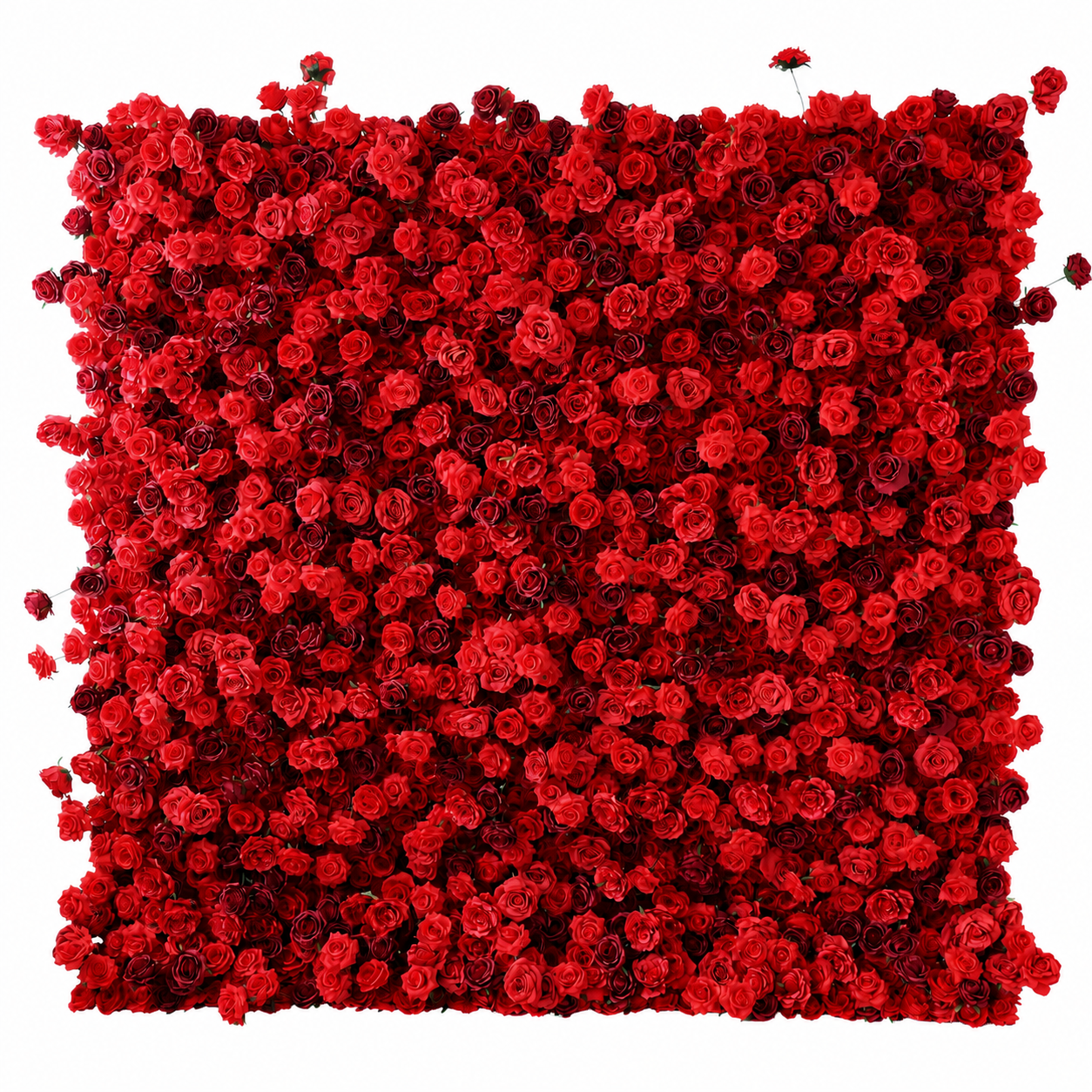 Red 5D Artificial Rose Flower Wall Backdrop for Weddings and Events 4x8ft,8x8ft,10x10ft