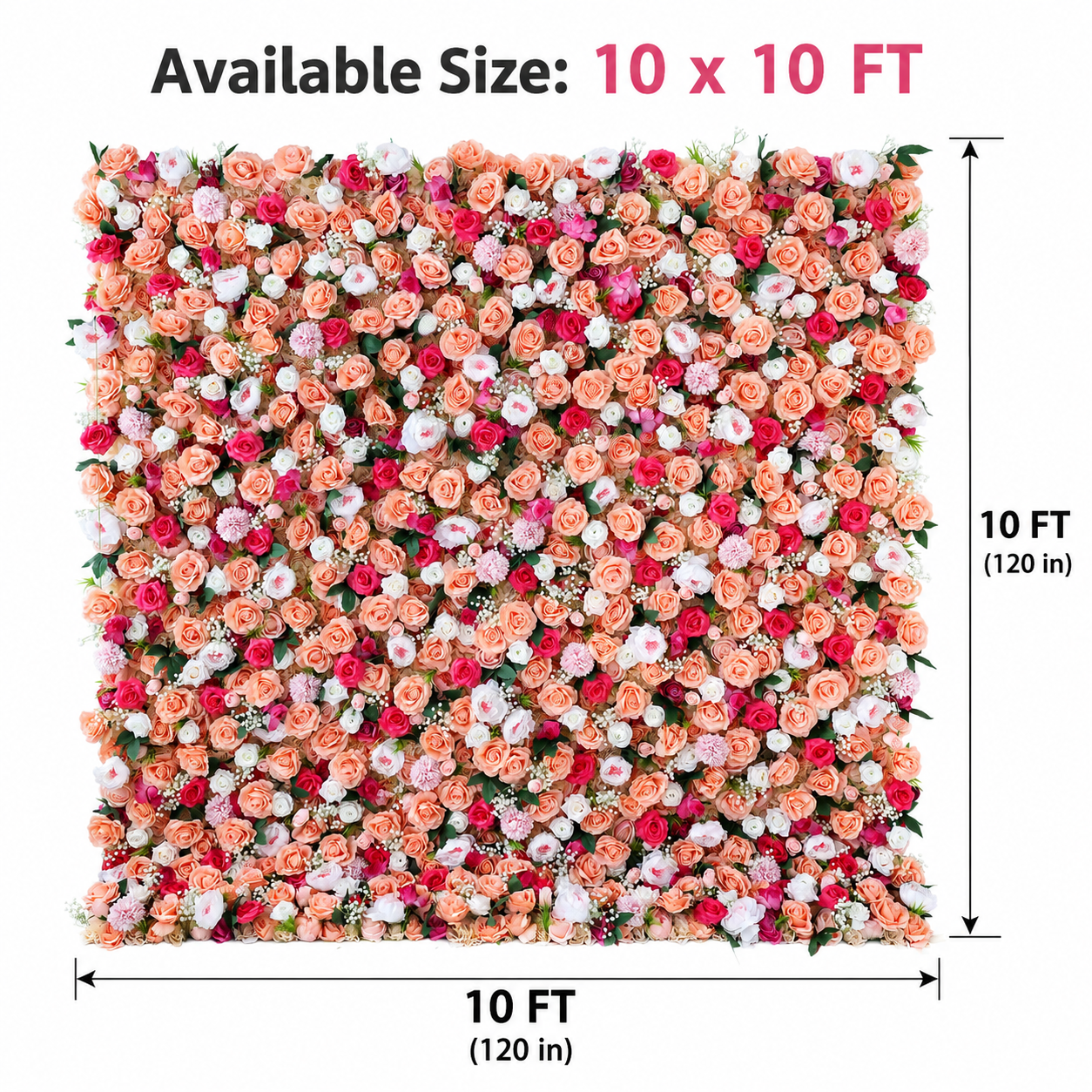 Coral Peach Rose Flower Wall Backdrop, Foldable Panels, No Stand, 4x8 ft  8 x 8 ft   10 x 10 ft 