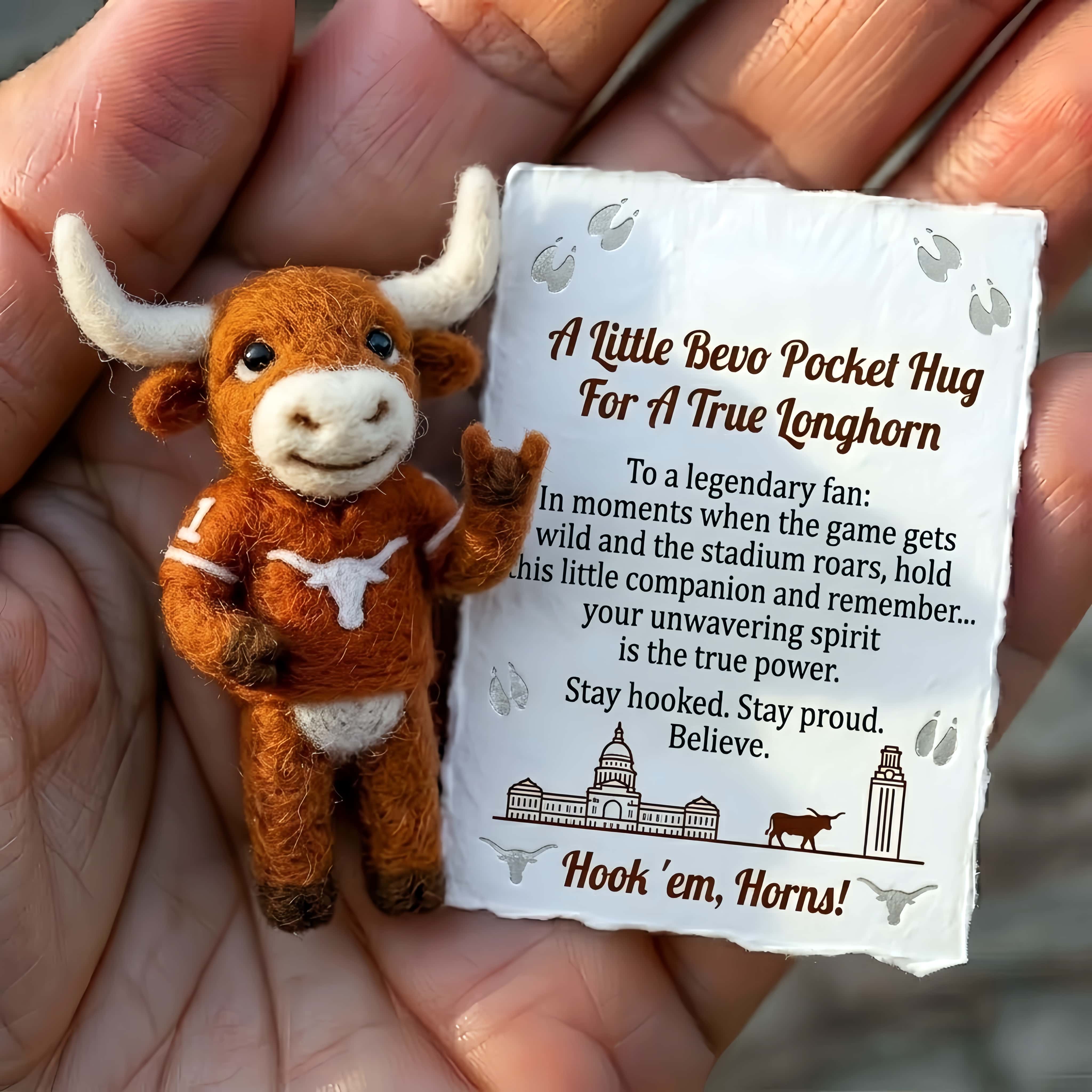 Bevo Felt Pocket Hug – For A True Longhorn