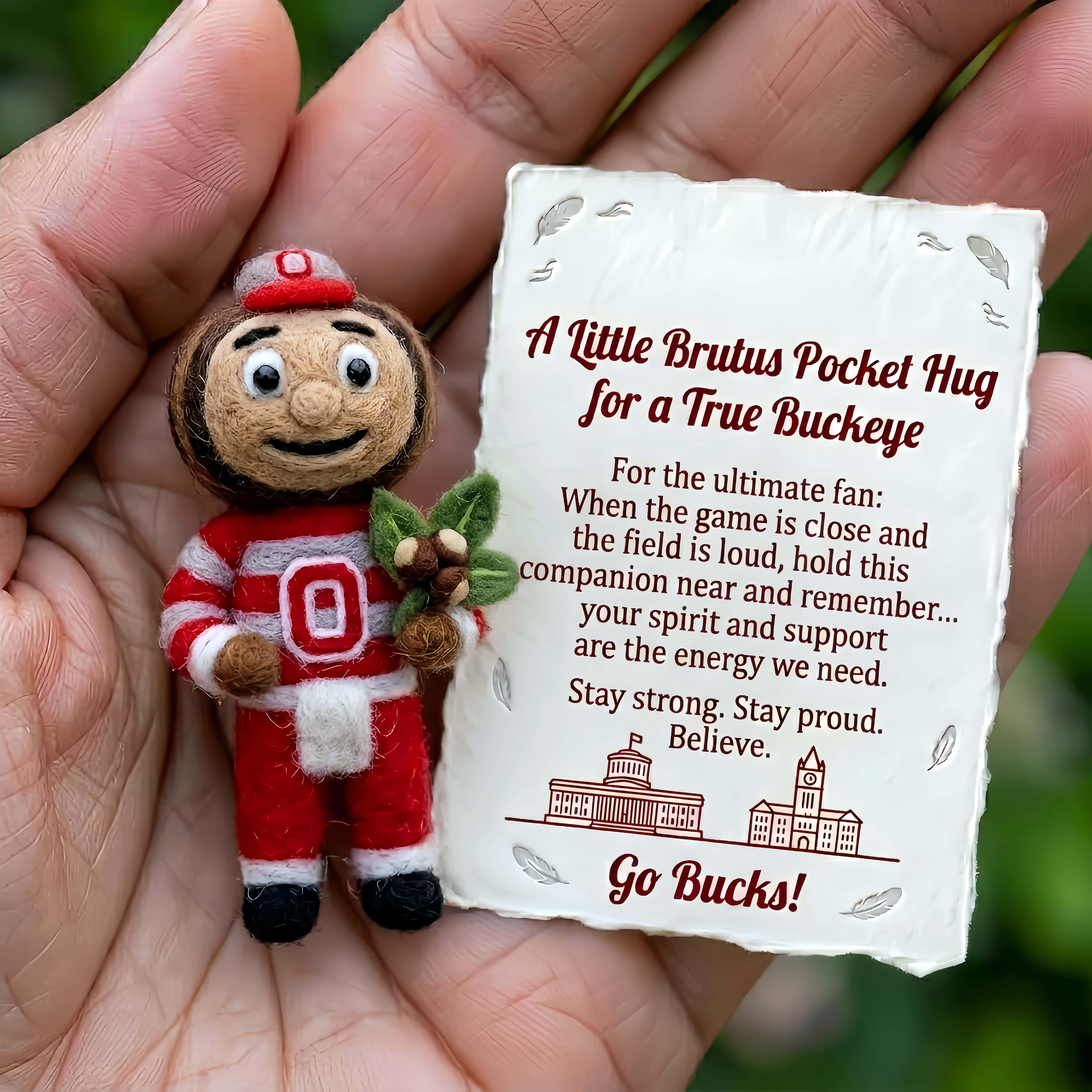 Brutus Felt Pocket Hug – For a True Buckeye