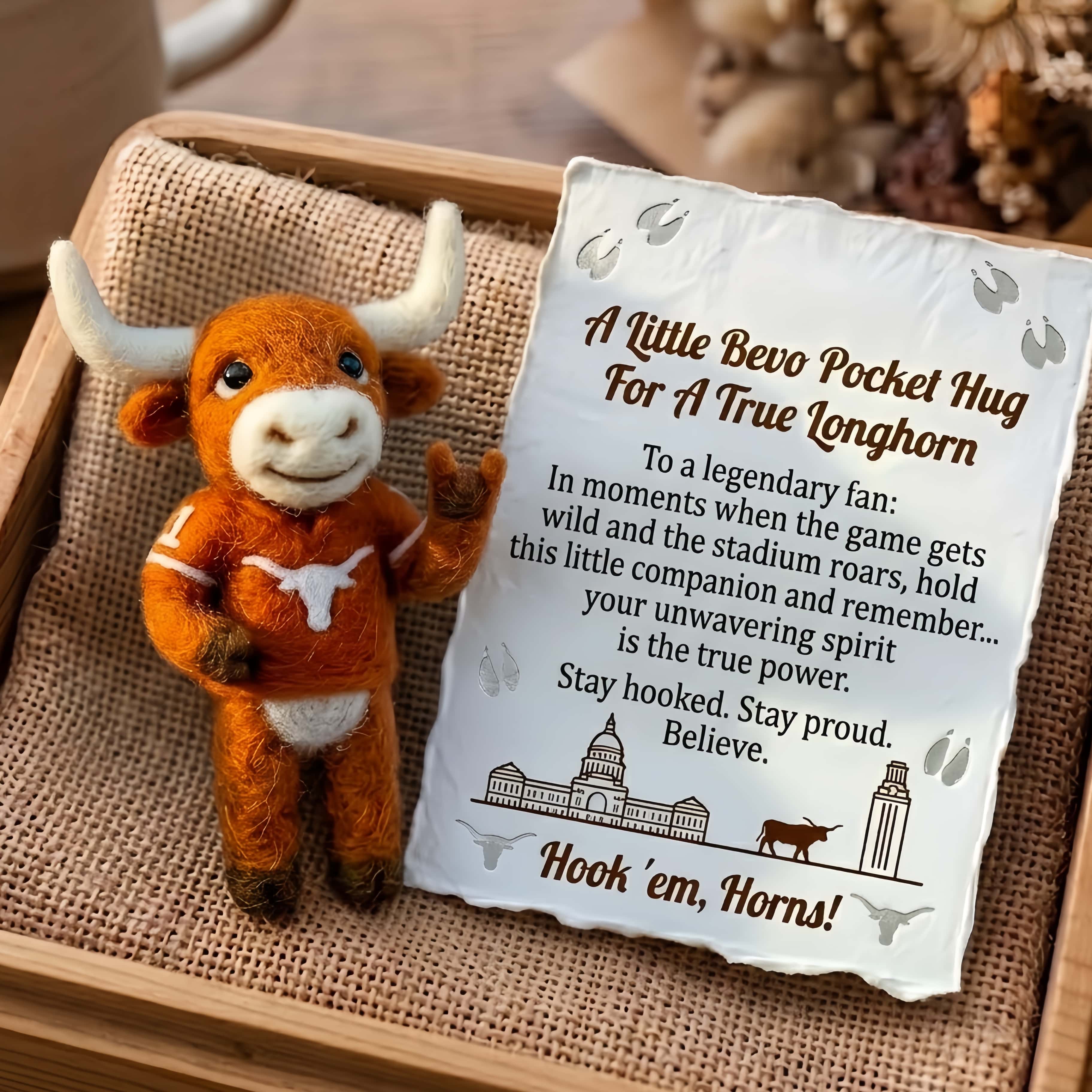 Bevo Felt Pocket Hug – For A True Longhorn
