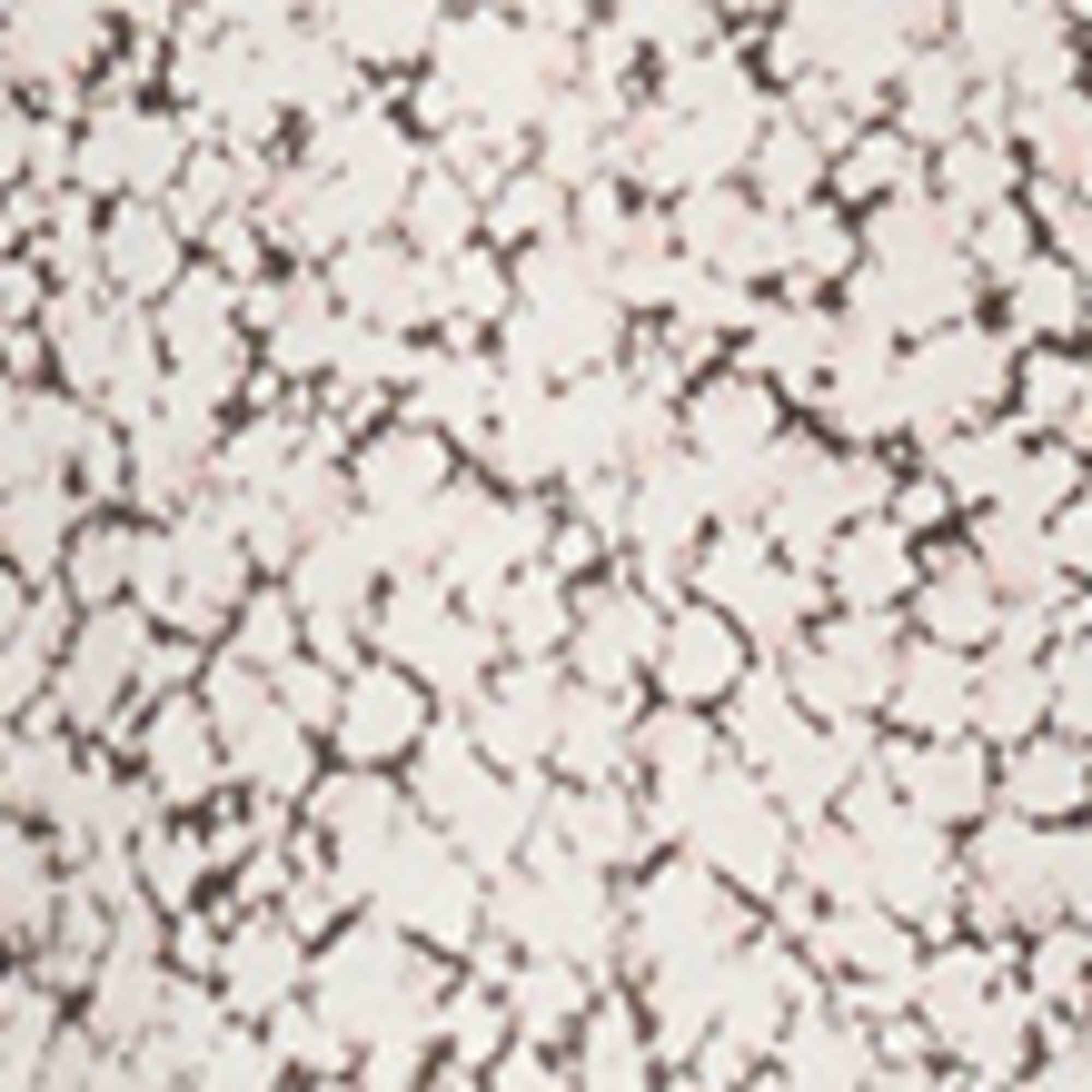 Cotton Modal Blend Printed T-Shirt
