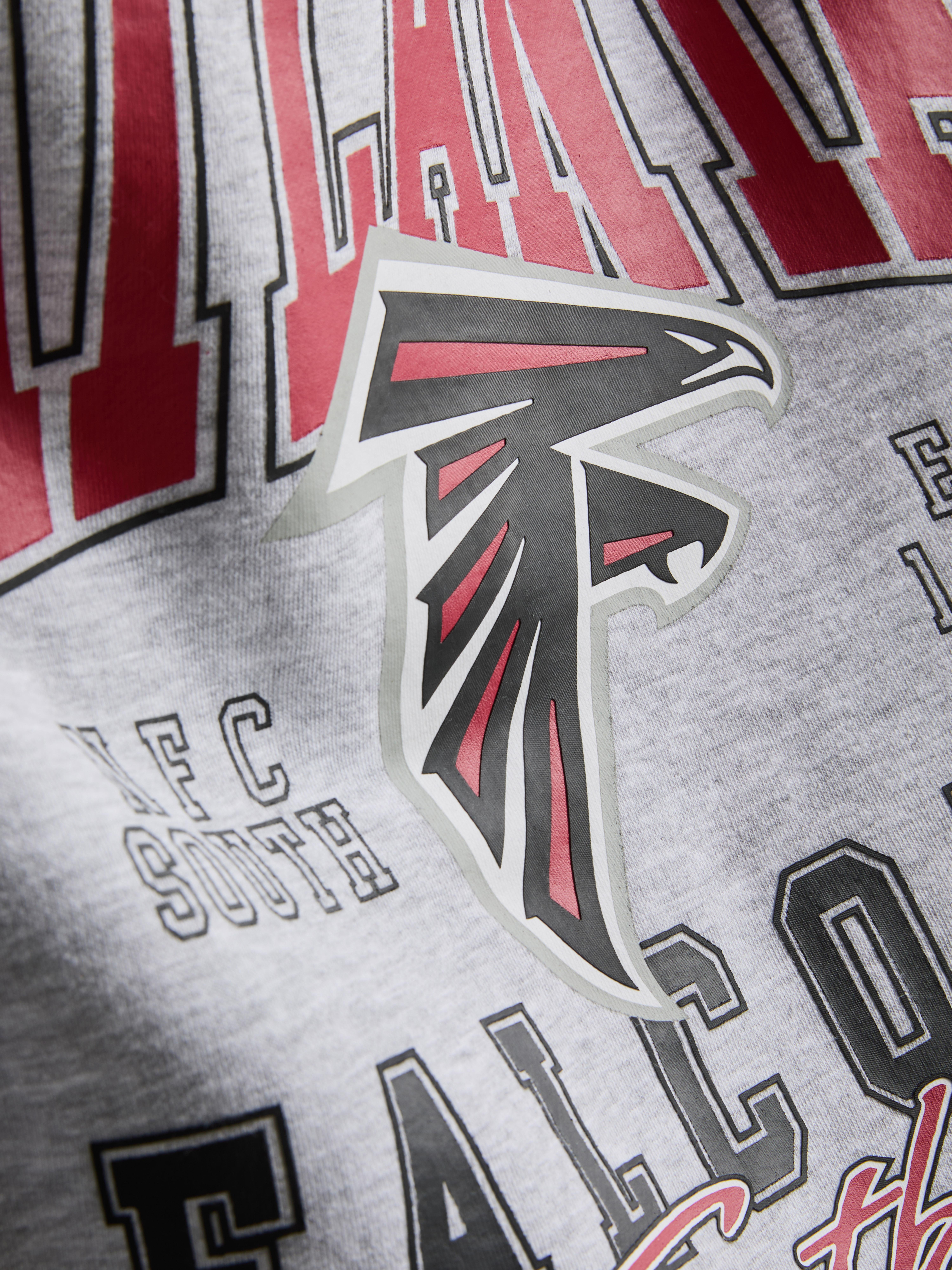 NFL Atlanta Falcons Graphic Hoodie - Gray Heather