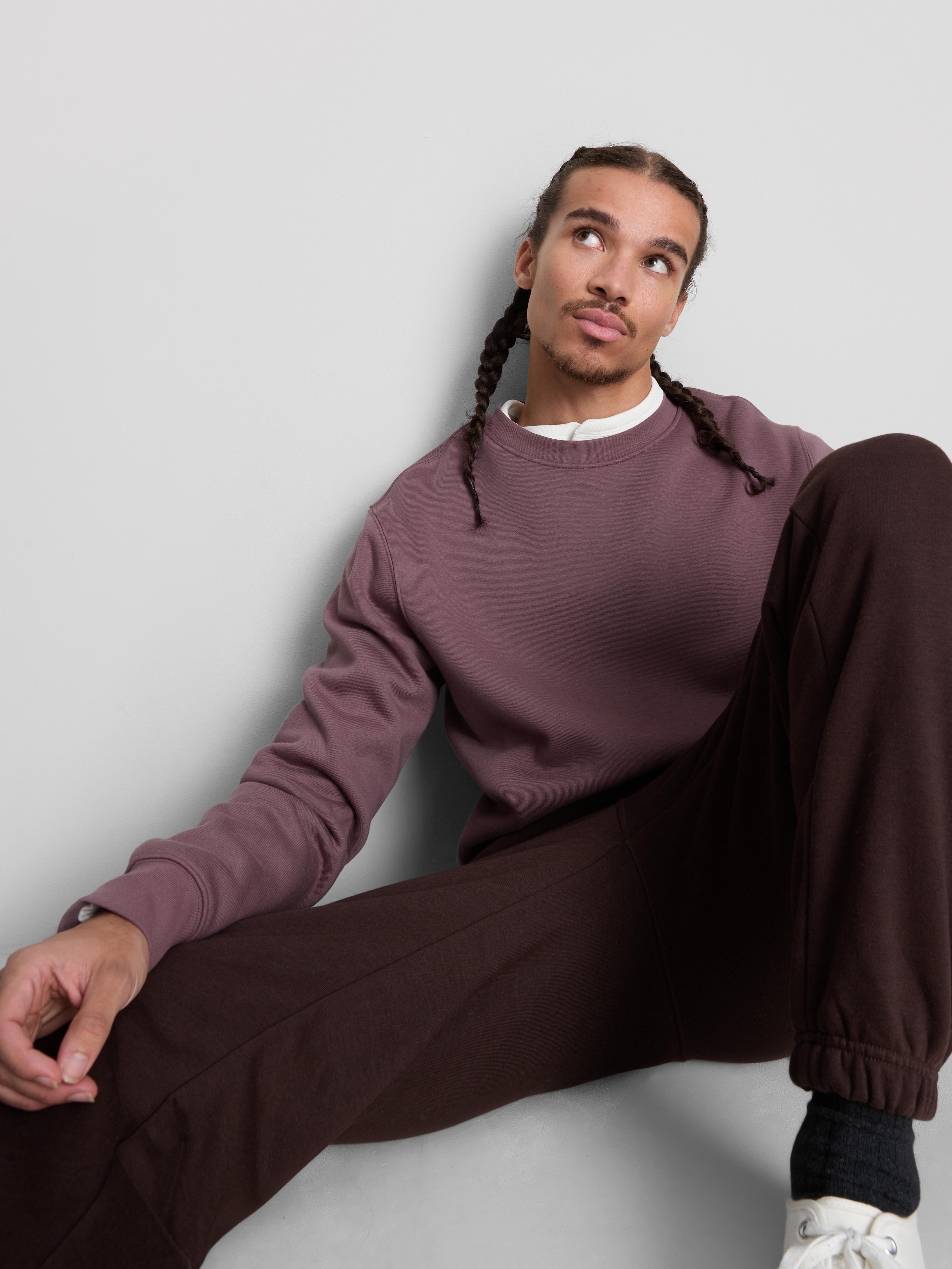 Regular Fit Sweatshirt - Plum