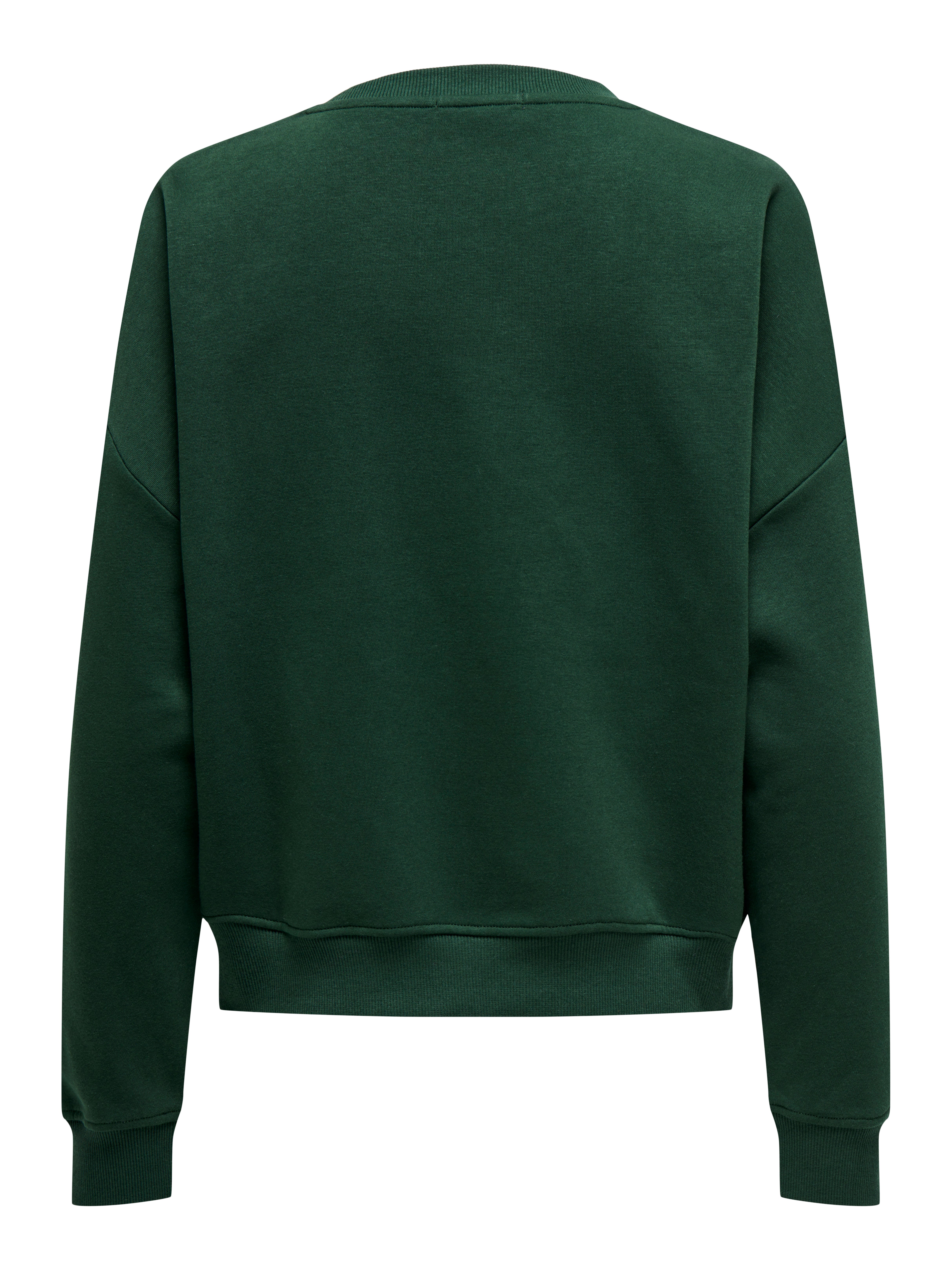 ONLSWEAT Sweatshirt Pine Grove