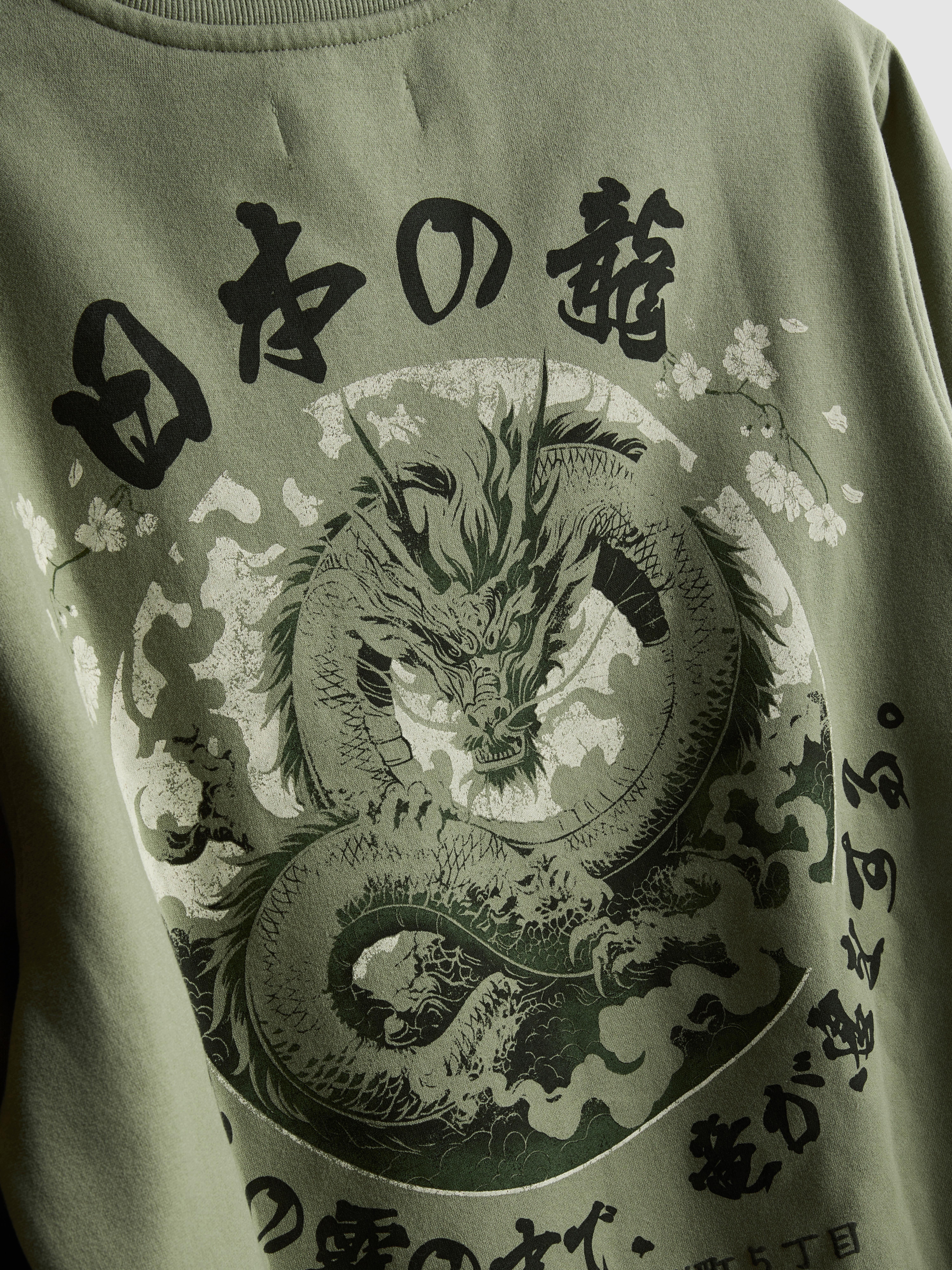 Cotton-Blend Dragon Sweatshirt - Green