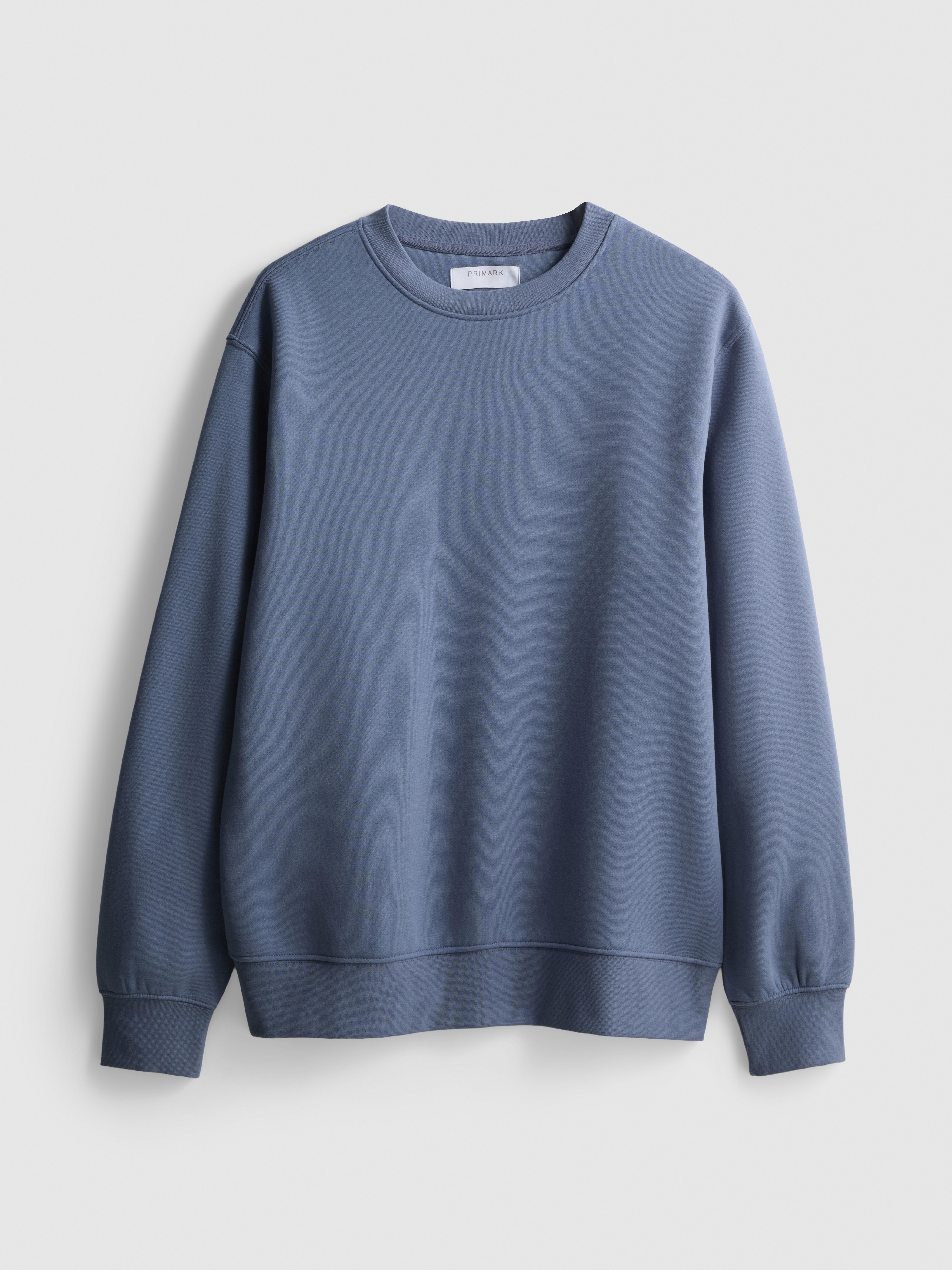 Regular Fit Sweatshirt - Blue