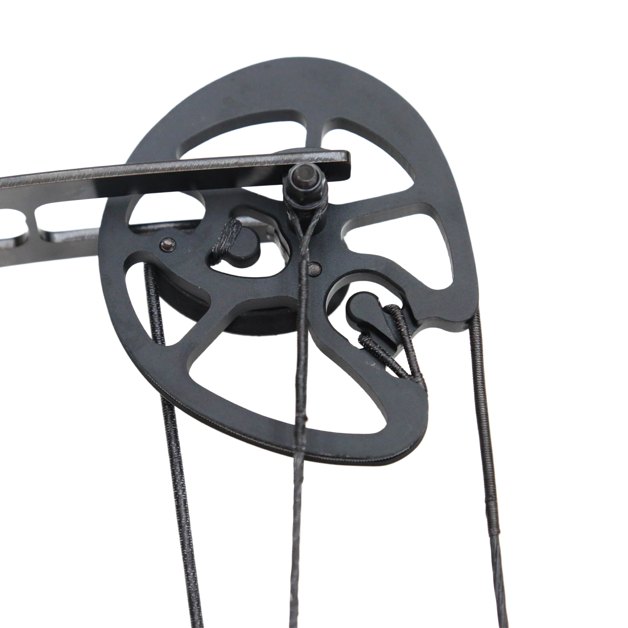 Multi-Shot Compound Training Bow System