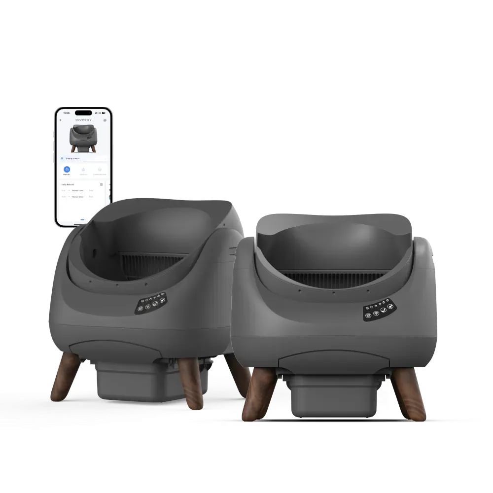 Open-Top Automatic Self-Cleaning Cat Litter Box for Multi-Cat Homes