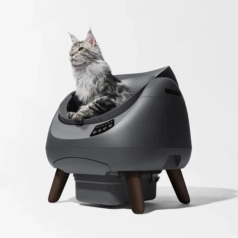 Open-Top Automatic Self-Cleaning Cat Litter Box for Multi-Cat Homes