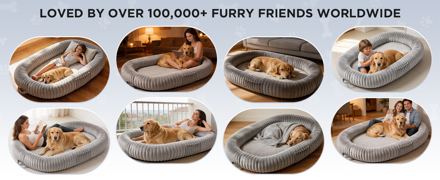 extra large human dog bed