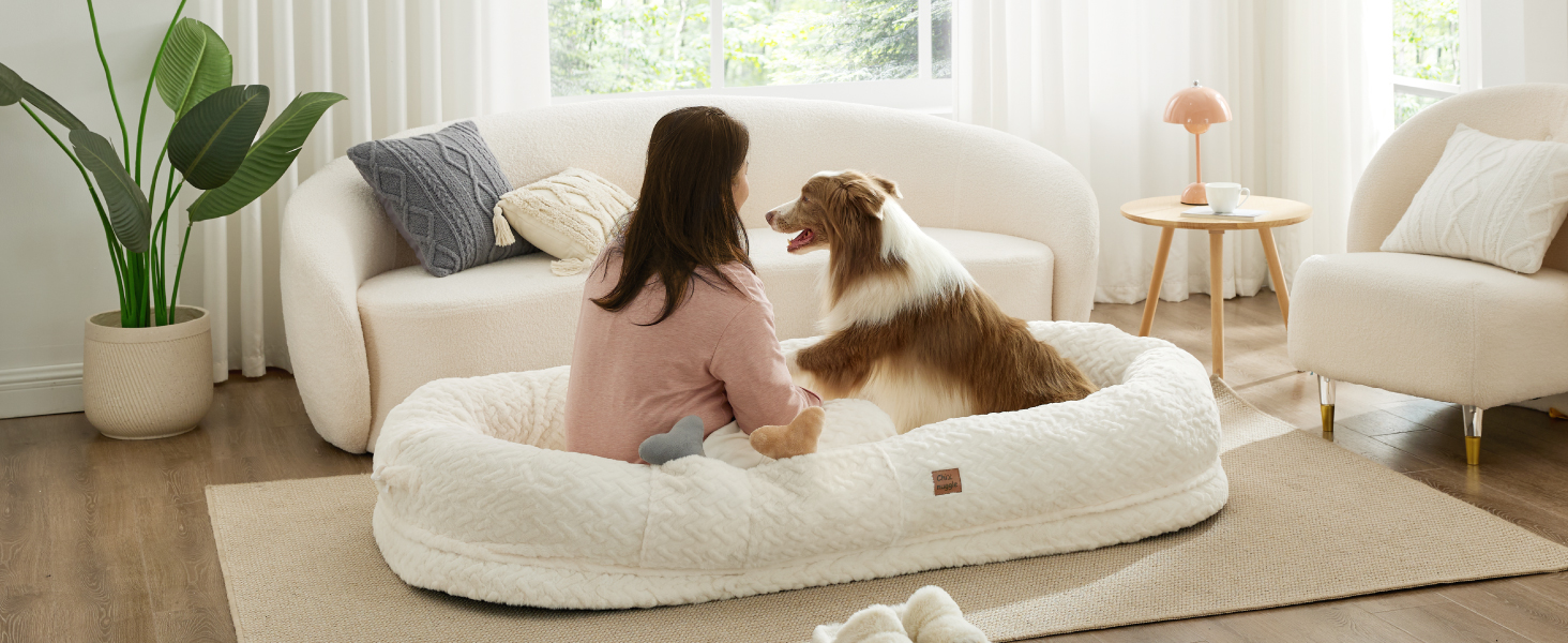 human size dog bed