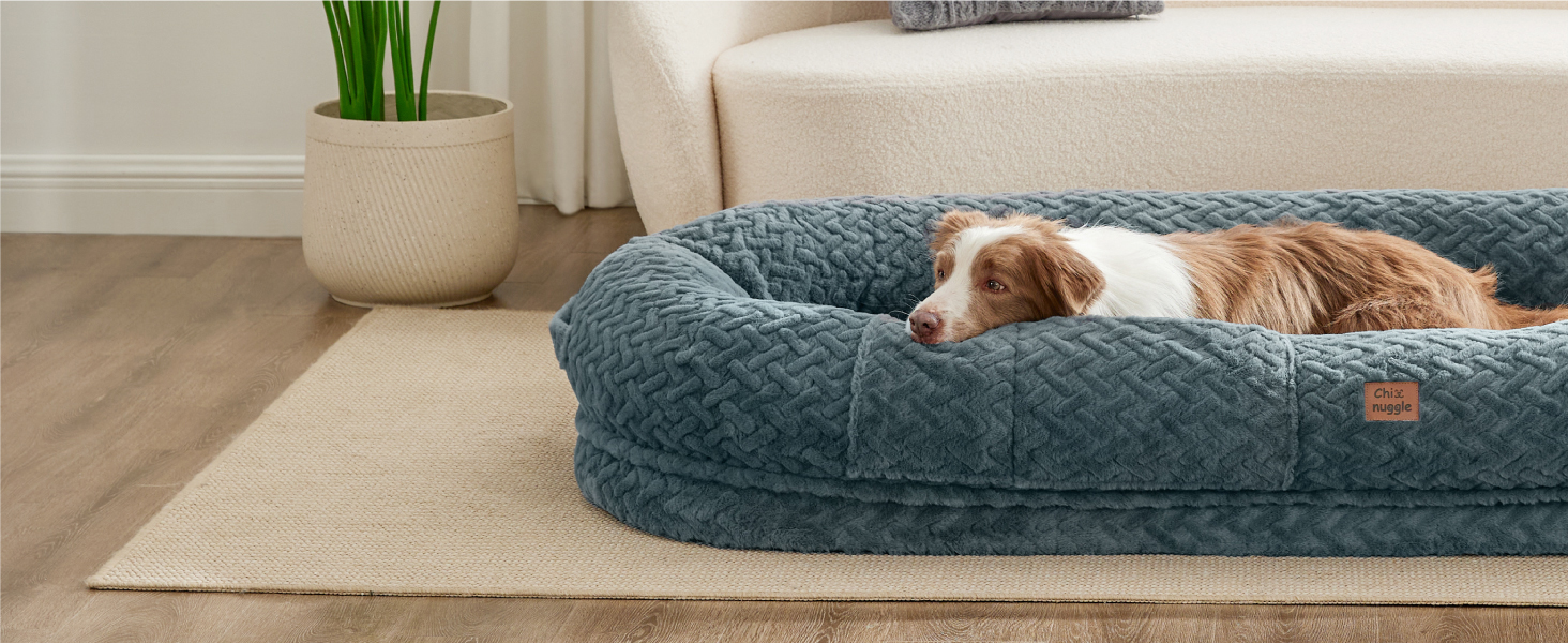 human dog bed