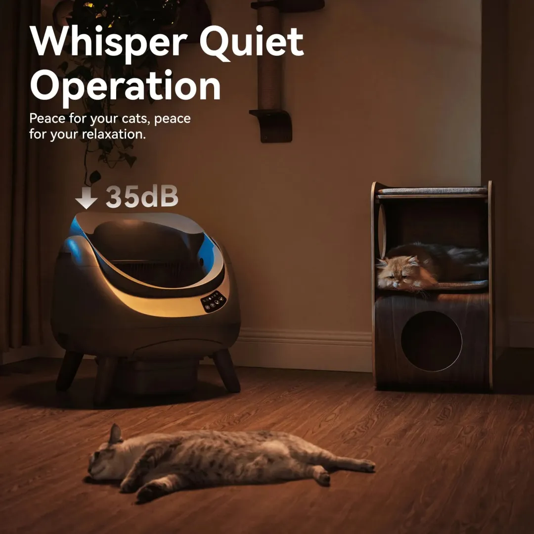Open-Top Automatic Self-Cleaning Cat Litter Box for Multi-Cat Homes
