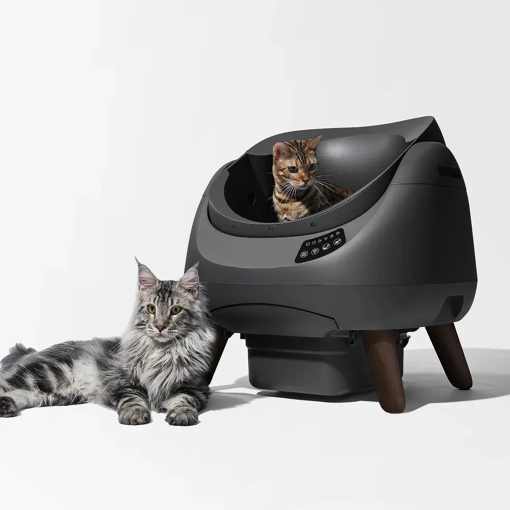 Open-Top Automatic Self-Cleaning Cat Litter Box for Multi-Cat Homes