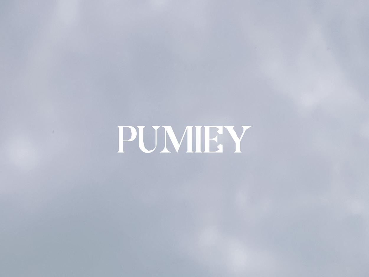 PUMIEY Spaghetti Strap Tank Top, Double Layer Not See-Through Cami, Buttery Soft Stretchy Top, Minimal Chic Essential summerwins