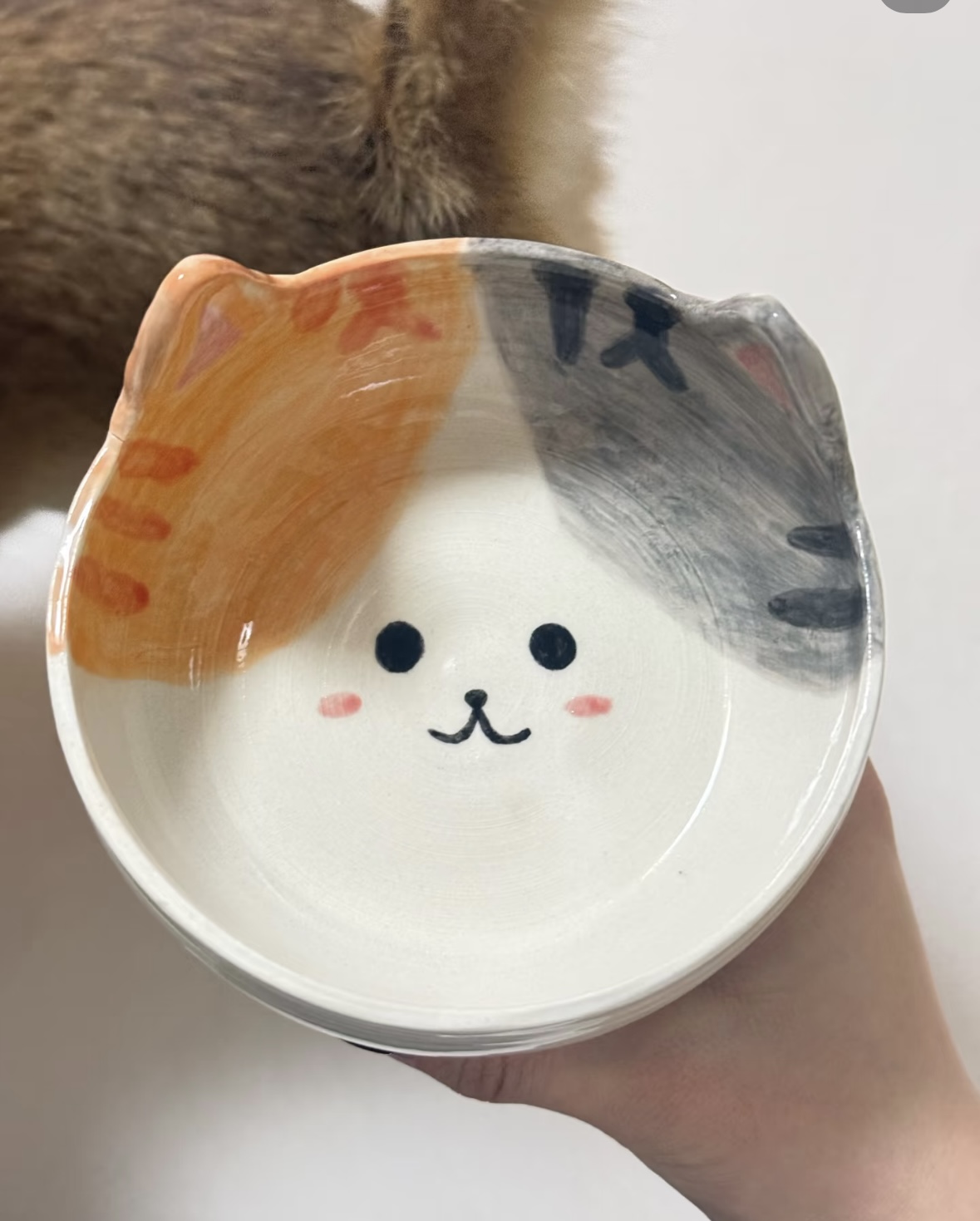 Pet Food Bowl