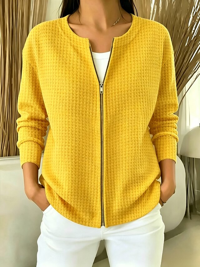 Women's Pullover Plain Vintage Basic Classic Long Sleeve Crew Neck Regular Tops