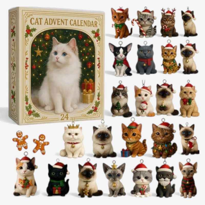 Fun cat lover countdown calendar with exciting toys