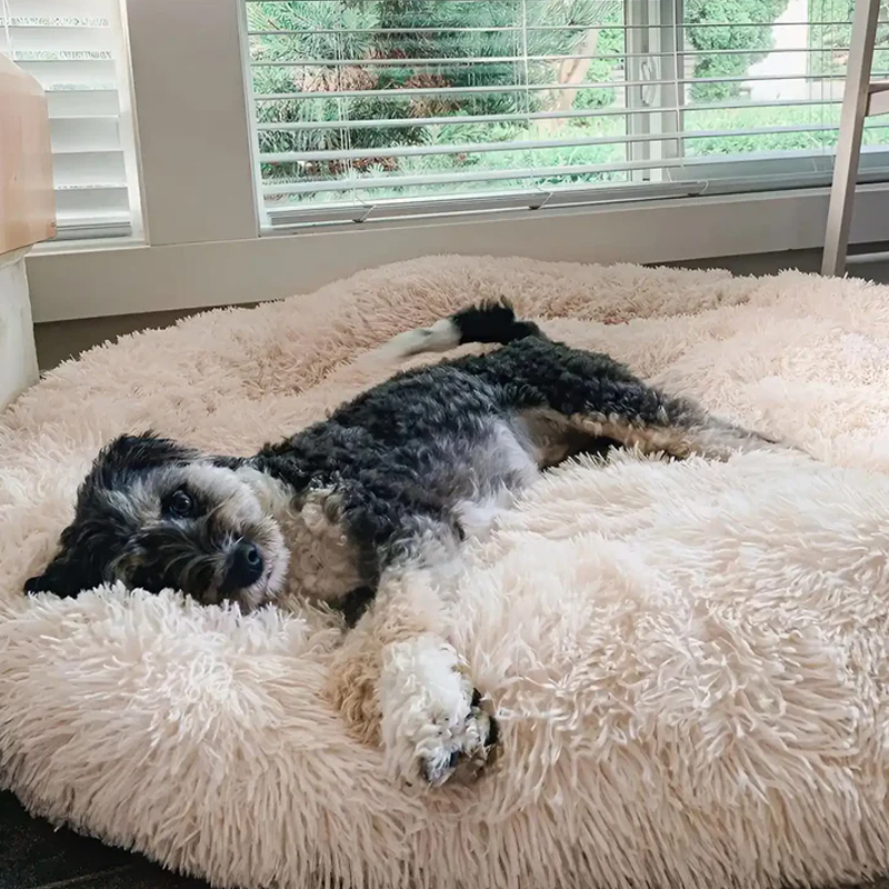 MrFluffyFriend® - Das beste Anti-Angst Hundebett