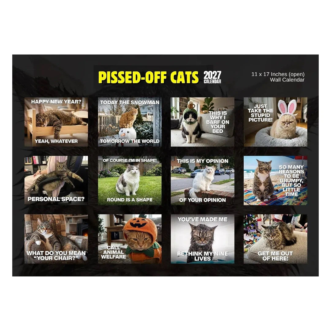 PISSED-OFF CATS 2027 Wall Calendar - Funny Gift for Cat Lovers-HandPrint