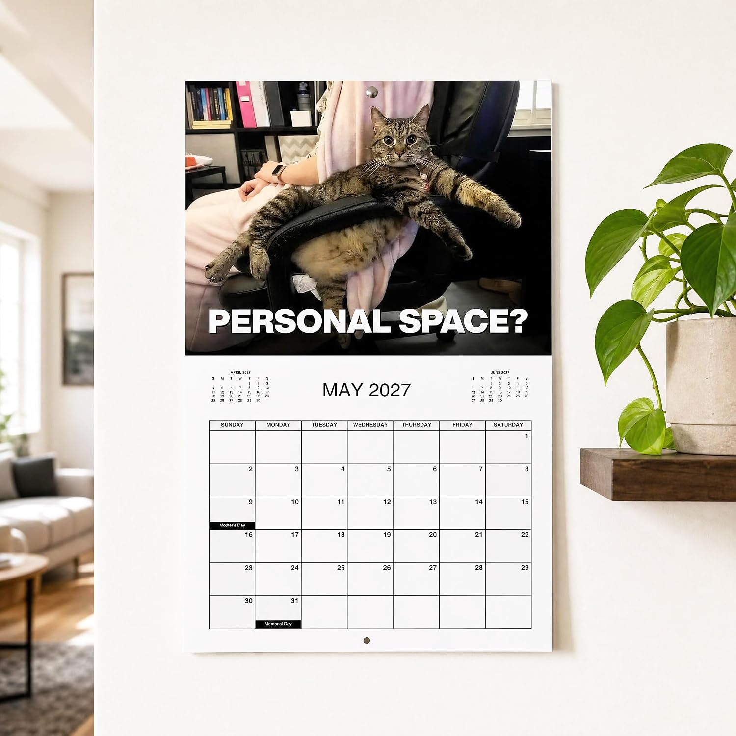 PISSED-OFF CATS 2027 Wall Calendar - Funny Gift for Cat Lovers-HandPrint