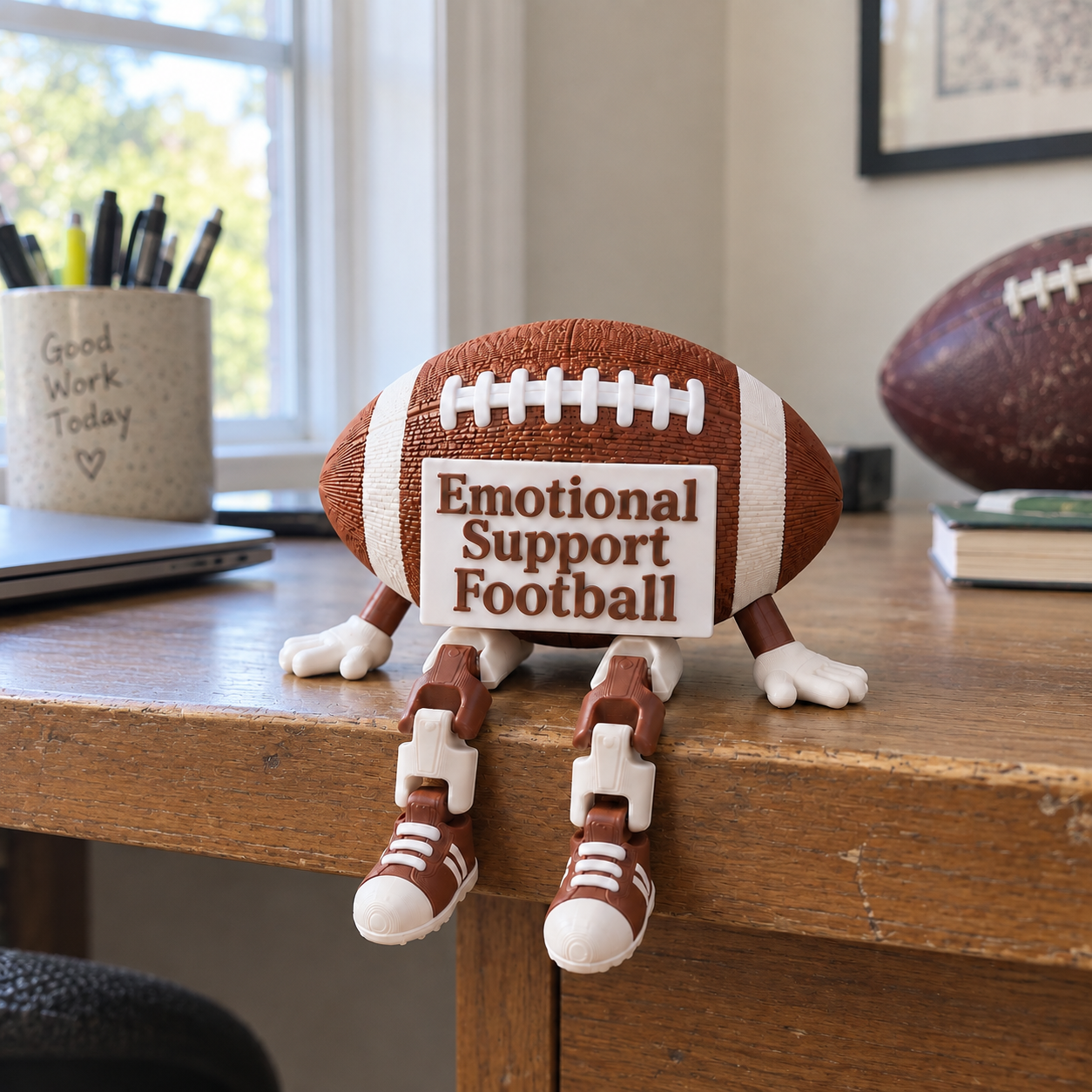 Emotional Support Football